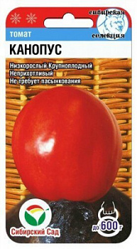 Томат Канопус