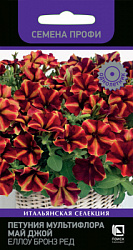 Petunia-multiiflora-My-Joy-Yellow-Bronze-Red
