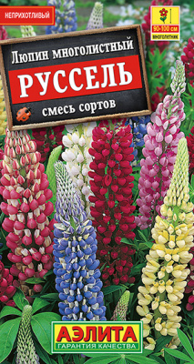 Люпин Руссель, смесь сортов_ЦП
