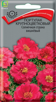 portulak_krupnocvet_solnechnaya_strana_vishnevy
