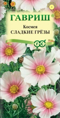 Космея сладкие грезы