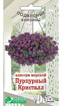 Алиссум Пурпурный Кристалл