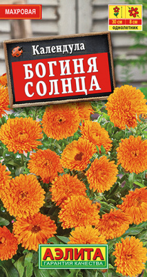 Календула Богиня солнца_ЦП