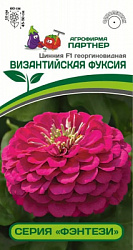 Цинния византийская фуксия
