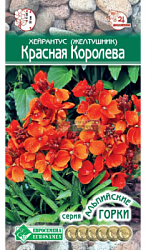Хейрантус (Желтушник) Красная Королева