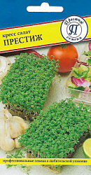 kress_salat_prestig