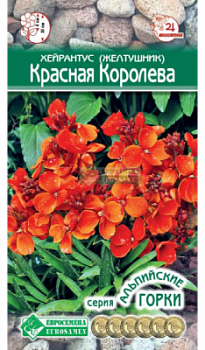Хейрантус (Желтушник) Красная Королева