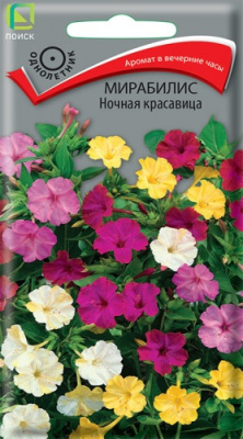 mirabilis_nochnaya_krasavica
