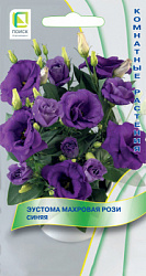 Eustoma-mahrovaya-Rosi-Sinaya