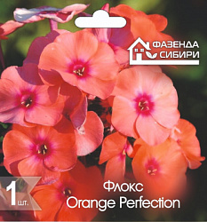 Флокс Orange Perfection