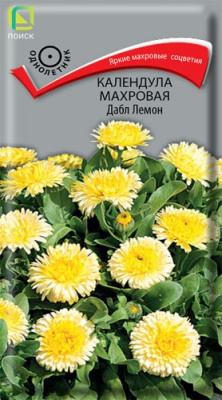 kalendula_makhrovaya_dabl_lemon