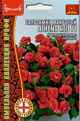 Бальзамин ред
