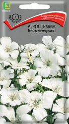 Агростемма Белая жемчужина