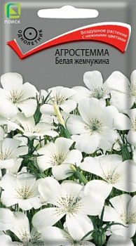 Агростемма Белая жемчужина