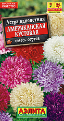Астра Американская кустовая, смесь сортов_ЦП