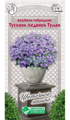 Вербена Тускани Ледяной Туман