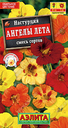 Настурция ангелы лета