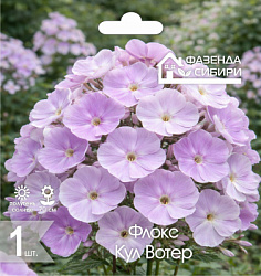 Флокс Кул Вотерcdr