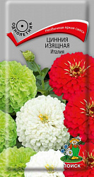 Цинния изящная Италия