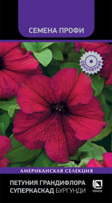 petunia_grandiflora_superkaskad_burgundi