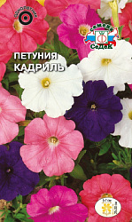 petuniya_kadril