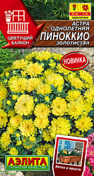 Астра Пиноккио золотистая