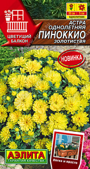 Астра Пиноккио золотистая