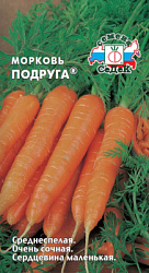 morkov_podruga_f1