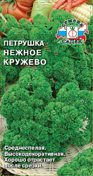 petrushka_nezhnoe_kruzhevo 1