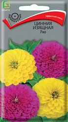Цинния изящная Рио