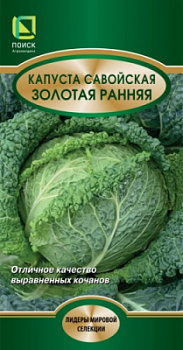 kapusta_savoi_zolotaya_rannyaya