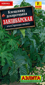 Клещевина занзибарская