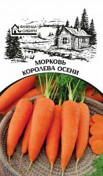 morkov koroleva oseni faz