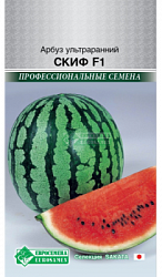 Арбуз Скиф