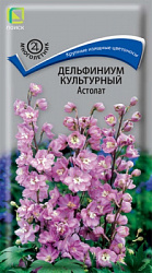 delfinium_kulrtur_astolat