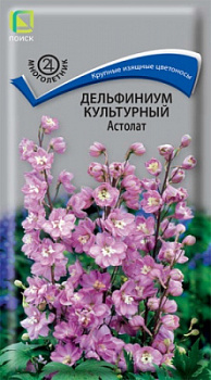 delfinium_kulrtur_astolat