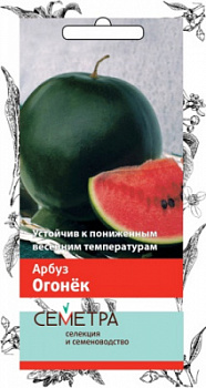arbuz_ogonek_sem
