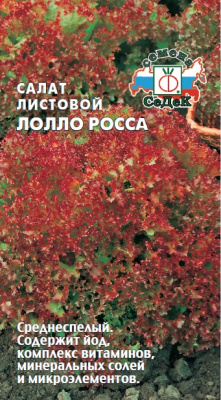 salat_lollo_rossa