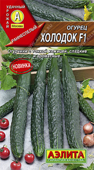 Огурец холодок