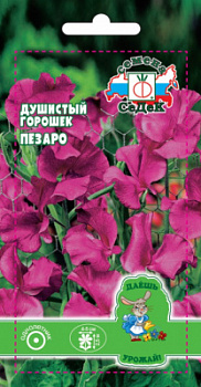 dushistyy_goroshek_pezaro