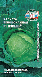 kapusta_vzryv_f1