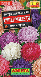 Астра Супер Миледи, смесь сортов_ЦП