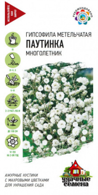 Паутинка