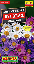 Астра альпийская Луговая, смесь сортов_ЦП