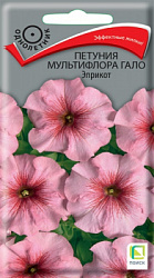petuniya_multiflora_galo_eprikot