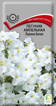 petunia_ampel_lavina_belaya