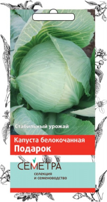 kapusta_belokoch_podarok_sem (1)