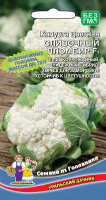 kapusta-cvetnaya-slivochnyy-plombir-f1