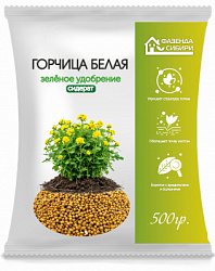 ГОрчица 500 г