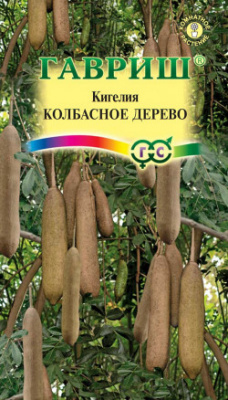 Кигелия